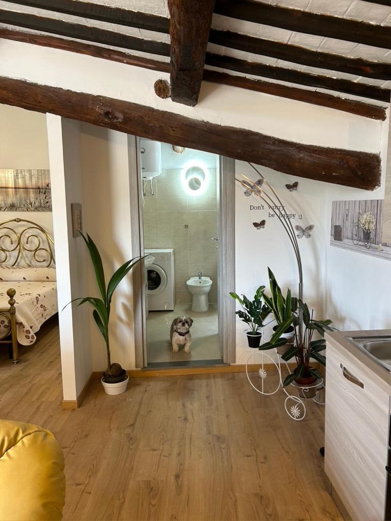 Bagnoregio Apartment You&Me Exterior foto